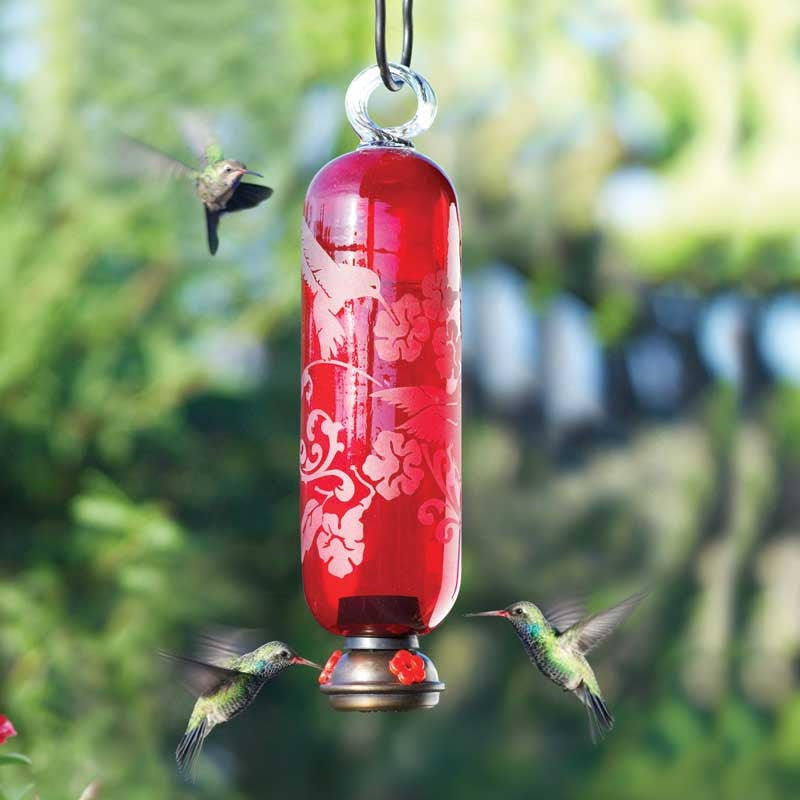  Filigree Glass Hummingbird Feeder