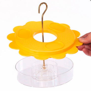Butterfly Feeder for nectar and fruit