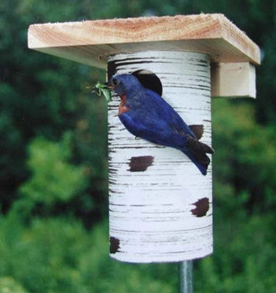 Gilbertson Nest Box