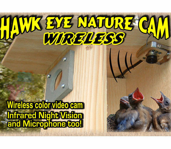 Hawk-Eye Wireless Spy Camera