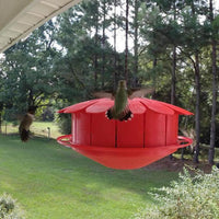 Humm-Bug Hummingbird Feeder-Customer Pic