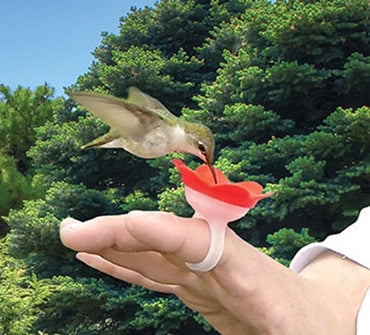 Hand Feed Hummingbirds with a Hummer Ring