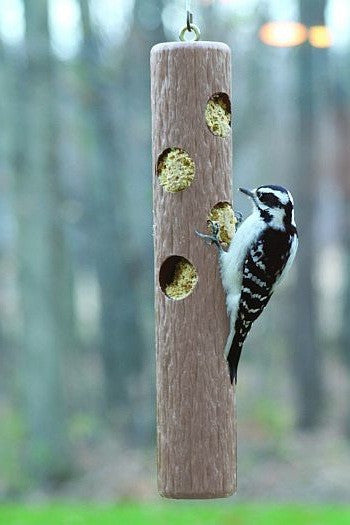 Suet Log Bird Feeder-Recycled Plastic - The Birdhouse Chick