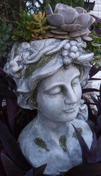 Lady Head Planted with Succulents