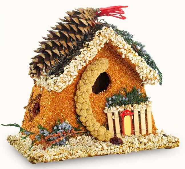 Whimsical Bird Houses, Novelty Bird Houses, Unusual and Unique