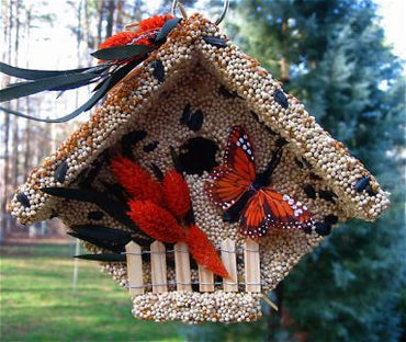 All Season Wren Casita-Edible Birdhouse