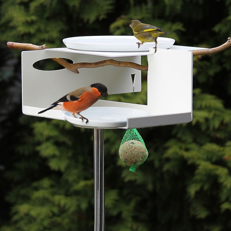 Unique Bird Bath/Bird Feeder