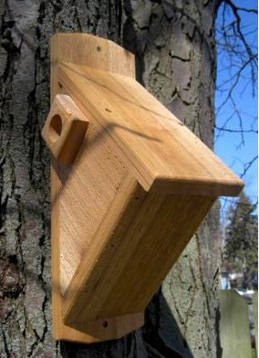 Cedar Side Entry Birdhouse for Nuthatches, Downys & More