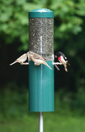 Classic Squirrel Proof Feeder w/Baffle & Pole-BirdsChoice