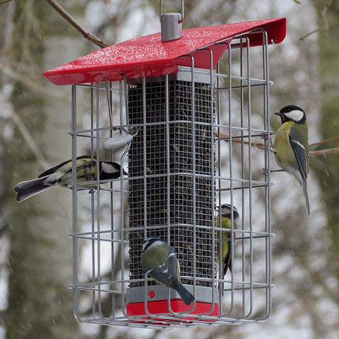 Squirrel Proof Feeder for sunflower or shelled peanuts