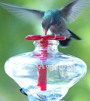 Clear Mini-Blossom Staked Hummingbird Feeders – Charming and Compact Feeders for Attracting Hummingbirds