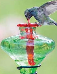 Green Mini-Blossom Staked Hummingbird Feeders – Charming and Compact Feeders for Attracting Hummingbirds