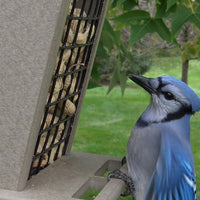 Peanut In Shell Bird Feeder Offers Large Tray