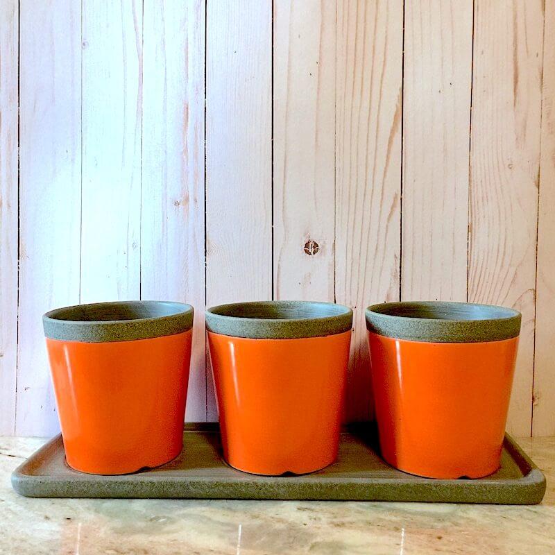 Poppy Triple Herb Planters