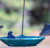 Pottery Hanging Bird Bath/Feeder