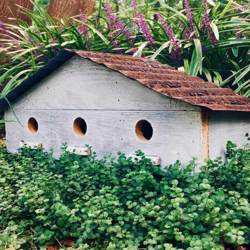 Wooden top Bird House