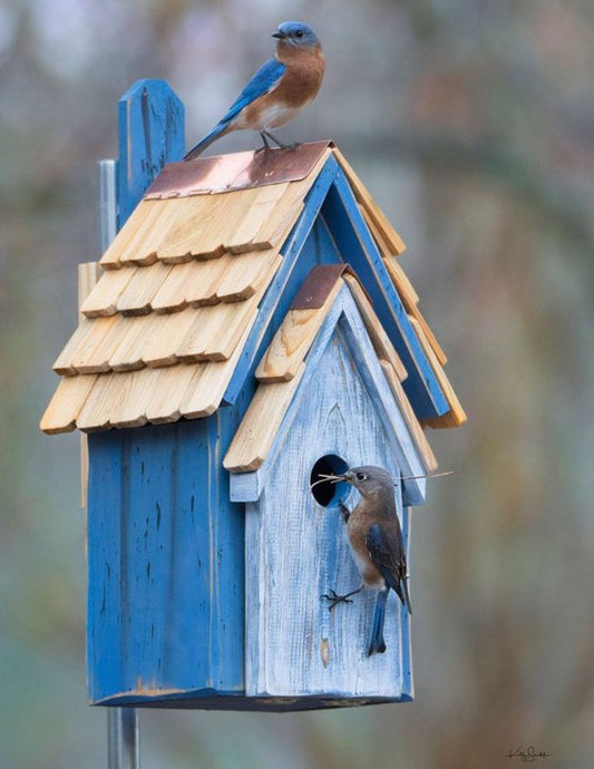 Rustic Bluebird Manor