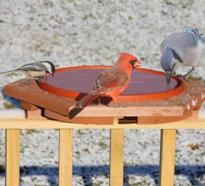 Heated Deck Mount Bird Bath