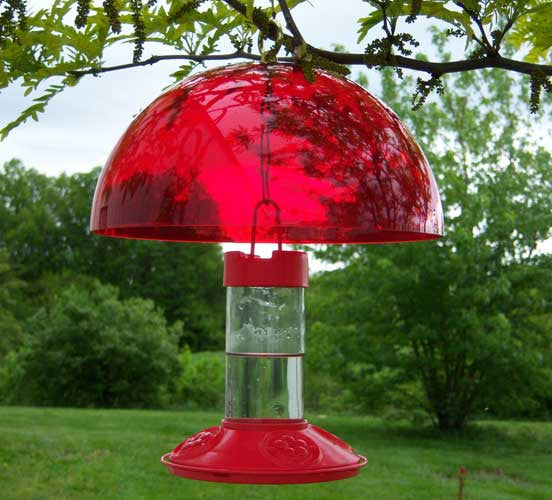 Dr. JB's Clean Hummingbird Feeder & Hummer Helmet