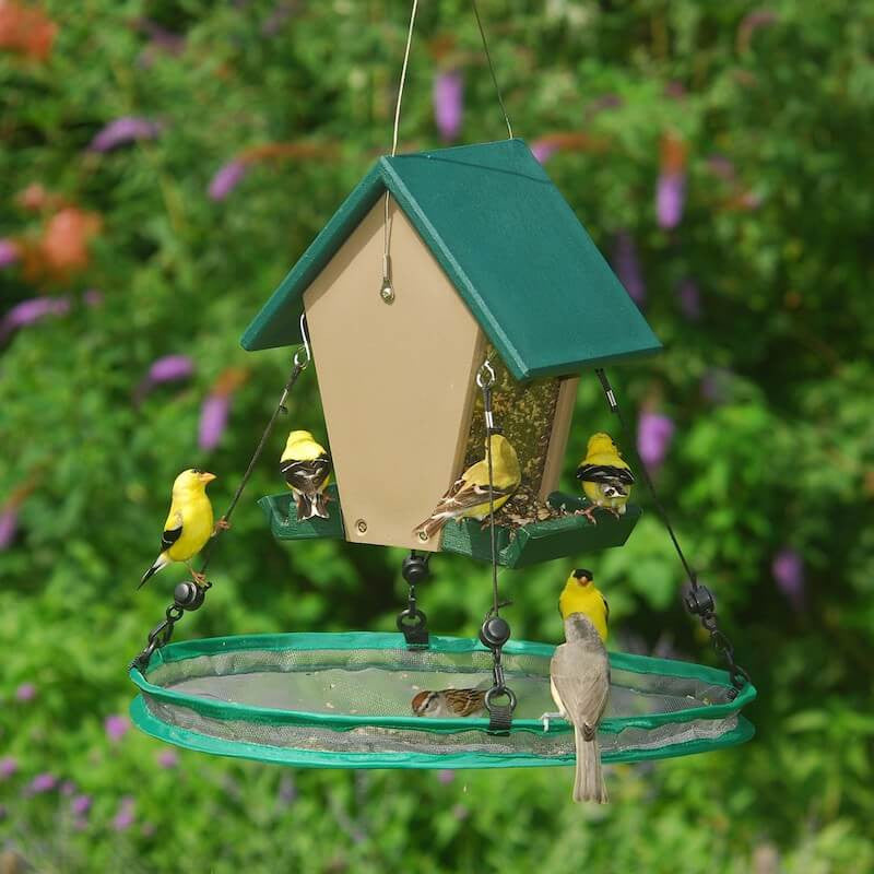 Bird Seed Trays Seed Catchers Bird Feeder Seed Catchers Bird