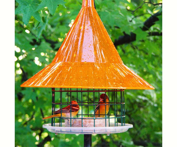 Sky Café Oriole Feeder – Elegant and Functional Feeder for Attracting Orioles