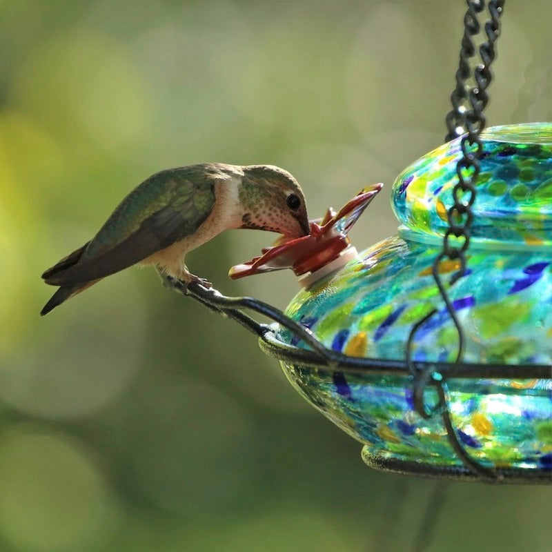 Solar Glass Hummingbird Feeder Detail