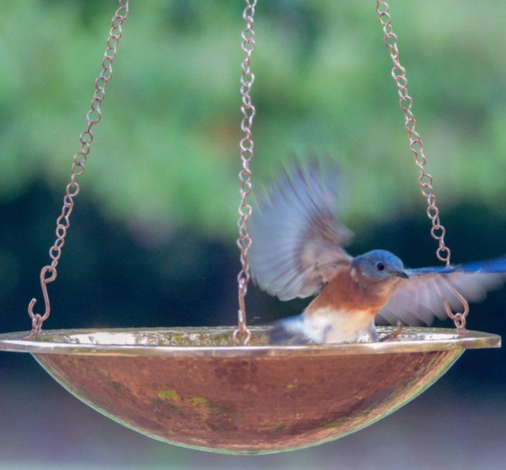 Solid Copper Hanging Bird Bath