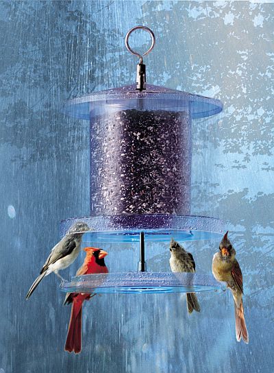 Songbird All Weather Bird Feeder