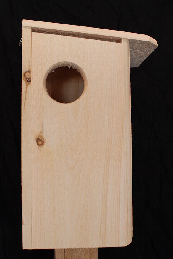 Wooden Squirrel House Detail