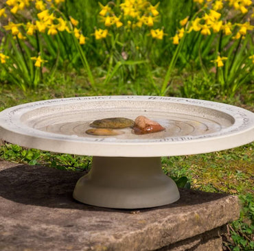 Stone Bird Bath with Steps