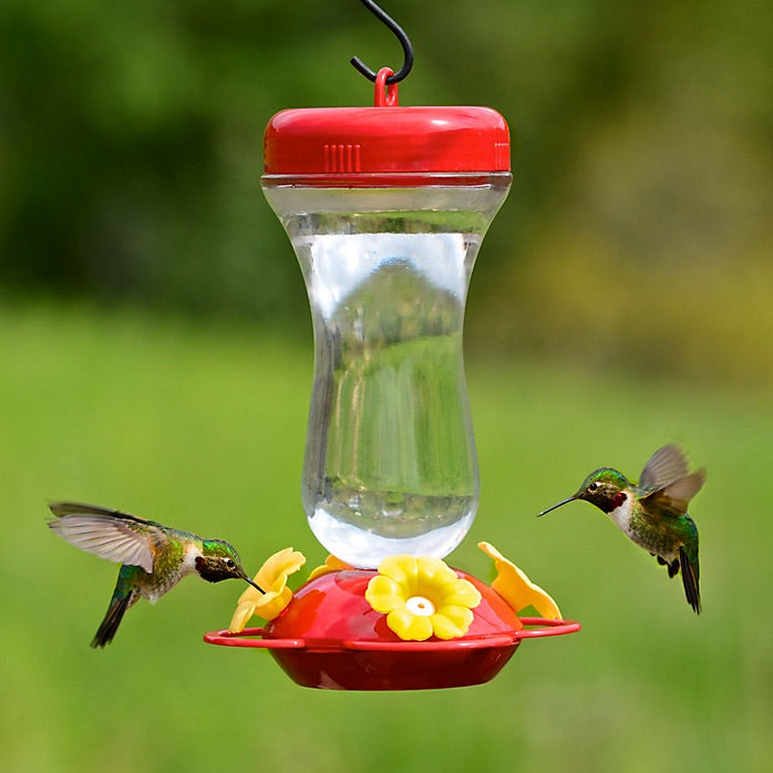 Top-Fill Glass Hummingbird Feeder