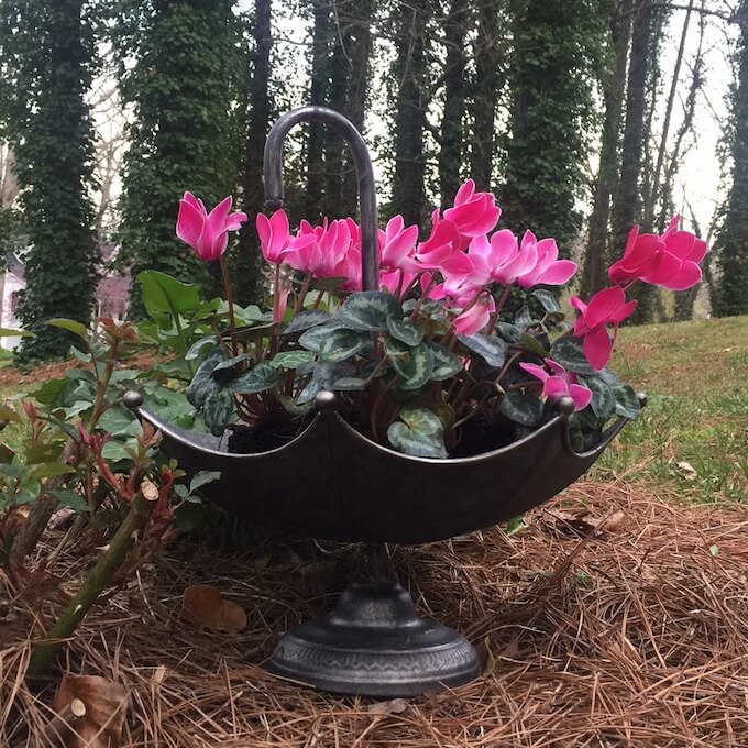 Umbrella Planter