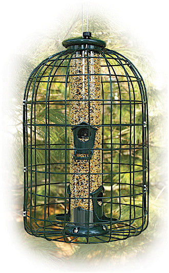 Grackle Proof Cage Bird Feeder