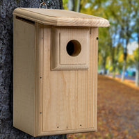 Western and Mountain Bluebird House