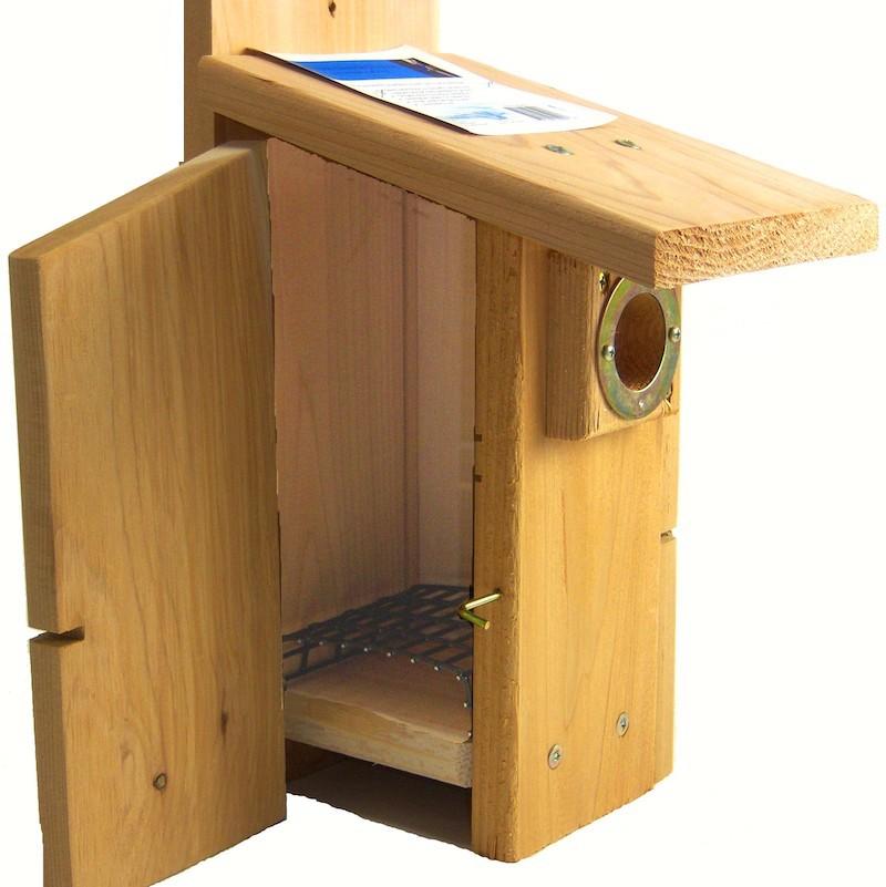 Western or Mountain Bluebird House