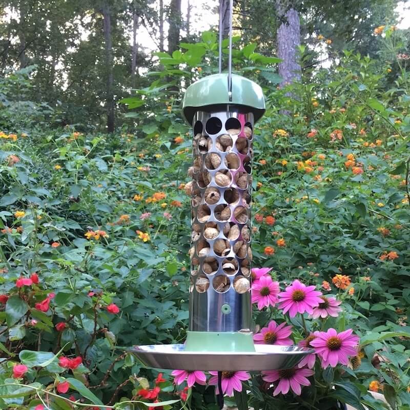 Stainless Steel Whole Peanut Bird Feeder