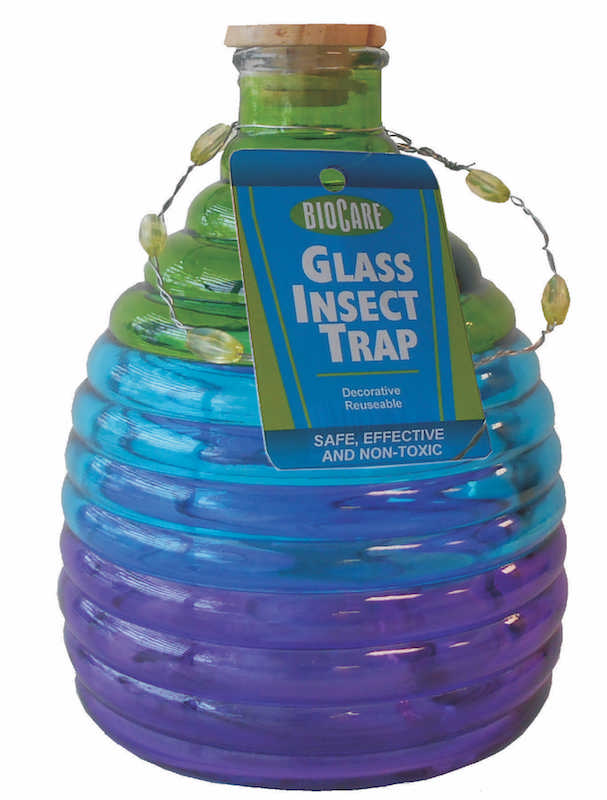 glass wasp trap