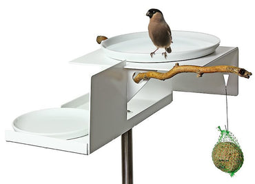 Bird Bath-Bird Feeder Detail