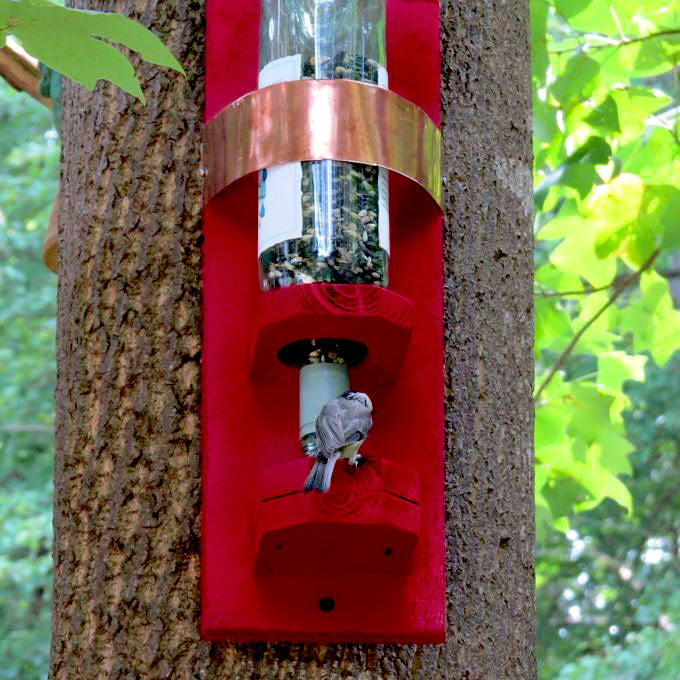 Bottle Bird Feeder-Handmade 