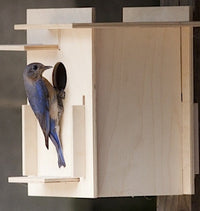 Box For the Birds Birdhouse Kit—Modern