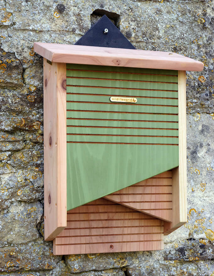 How To: Get Rid of Bats - The Craftsman Blog