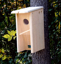 Starling Resistant Flicker Birdhouse