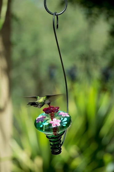 Unique Glass Hummingbird Feeder