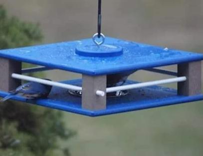 Gilbertson Hanging Bluebird  Feeder- Blue & White