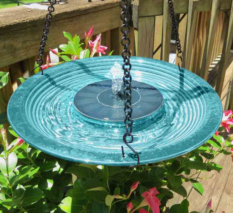 Hanging Solar Bird Bath- Teal