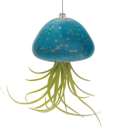 Jellyfish Air Plant Hangers | Cool Glass Plant Hanger Gift - The ...