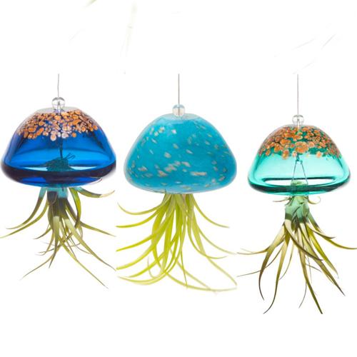 Jellyfish Air Plant Hangers