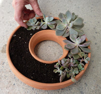 Ceramic Living Wreath Planter – Elegant and Versatile Planter for Indoor or Outdoor Gardens