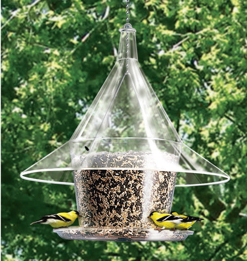 Sky Cafe Squirrel Proof Bird Feeder by Arundale