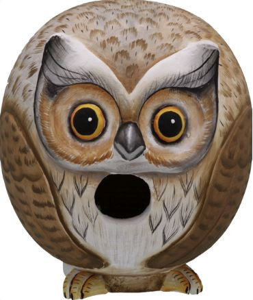 Gord-O Owl Wooden Birdhouse